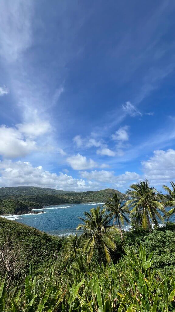 Mountain and ocean view from the room